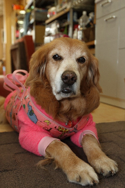 ファイル 2261-5.jpg