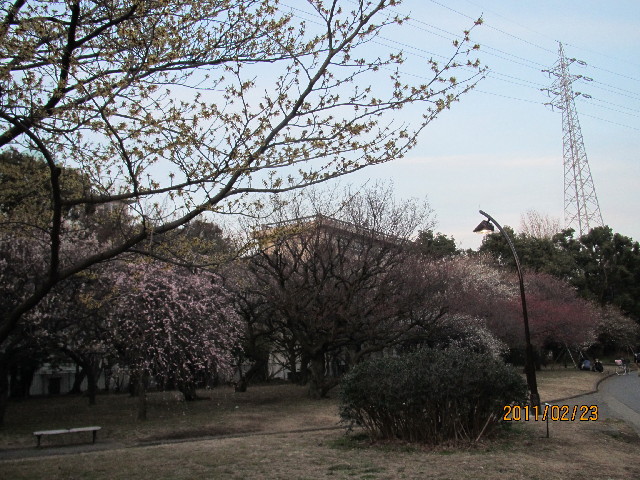 ファイル 2267-1.jpg
