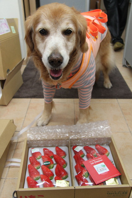 ファイル 2269-4.jpg