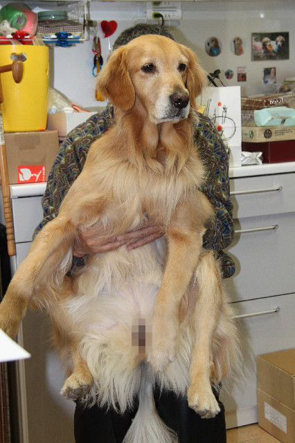 ファイル 2269-5.jpg