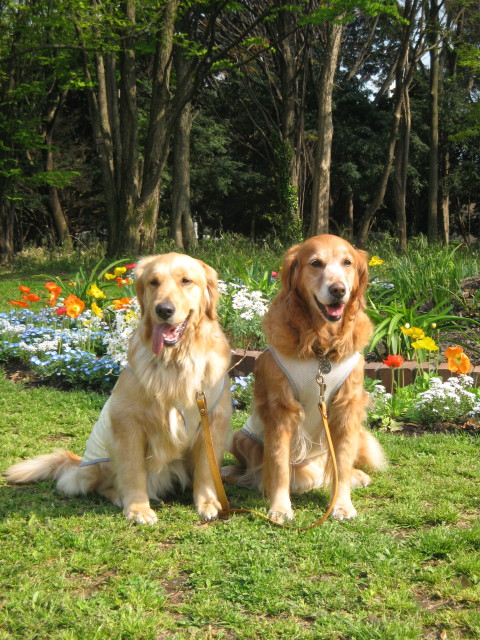 ファイル 227-2.jpg