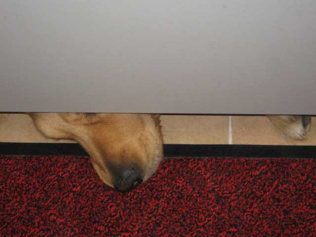 ファイル 227-5.jpg