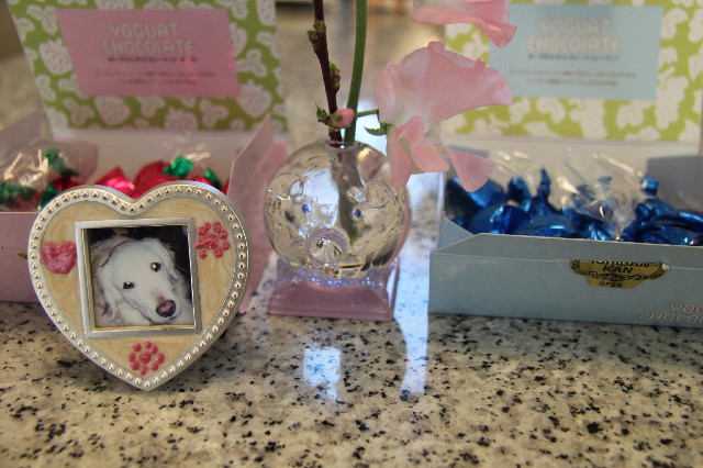 ファイル 2271-5.jpg