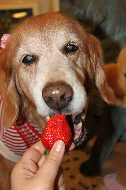 ファイル 2273-5.jpg