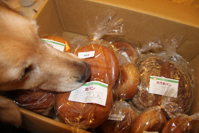 ファイル 2276-1.jpg