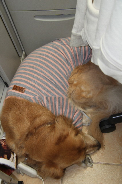 ファイル 2277-5.jpg