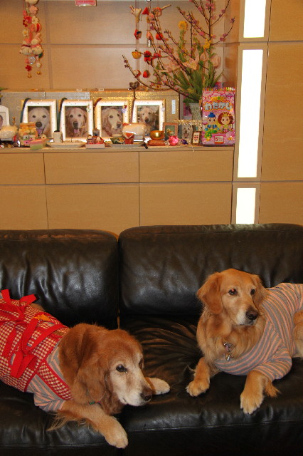 ファイル 2278-3.jpg