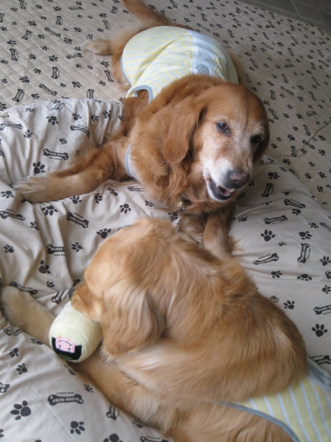 ファイル 228-1.jpg