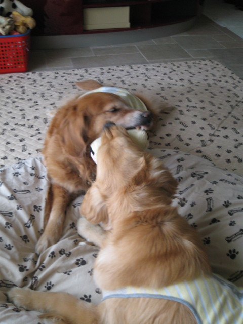 ファイル 228-3.jpg