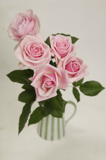 ファイル 2281-5.jpg