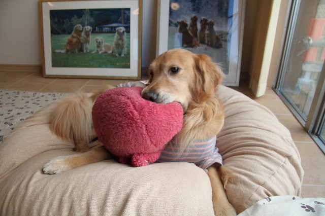 ファイル 2282-5.jpg