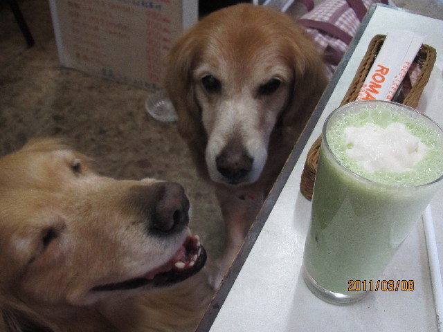 ファイル 2285-5.jpg