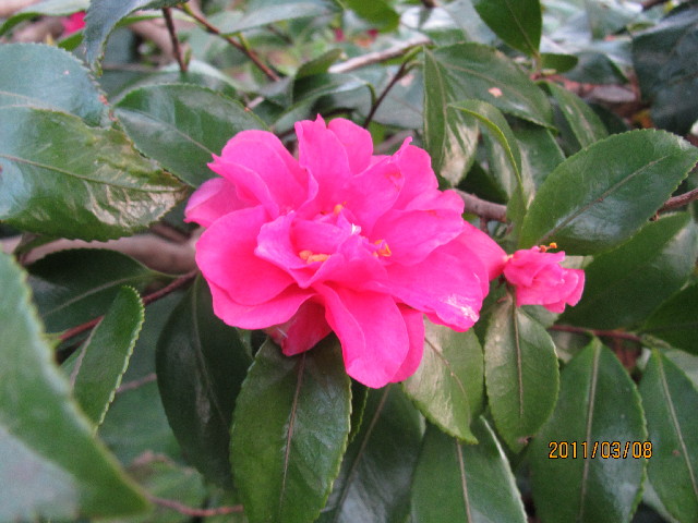 ファイル 2287-3.jpg