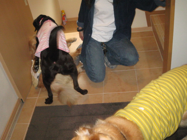 ファイル 229-1.jpg