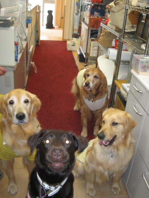 ファイル 229-4.jpg