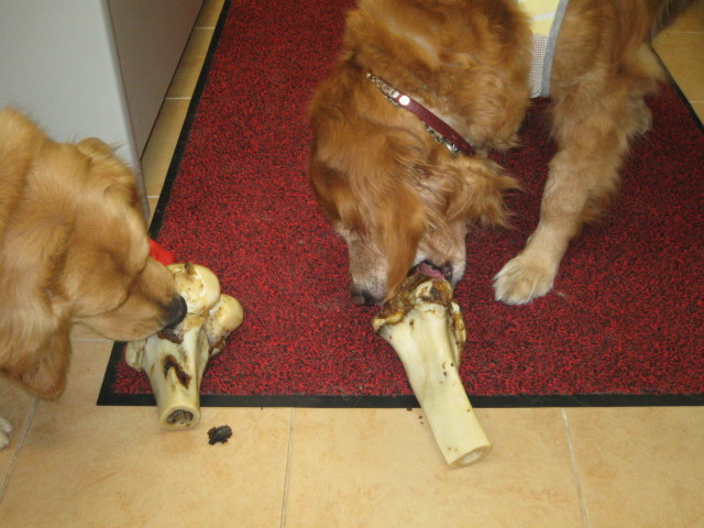 ファイル 229-5.jpg