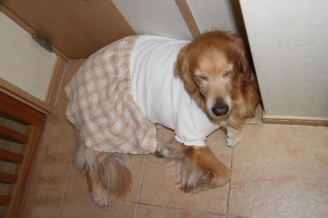 ファイル 2291-2.jpg