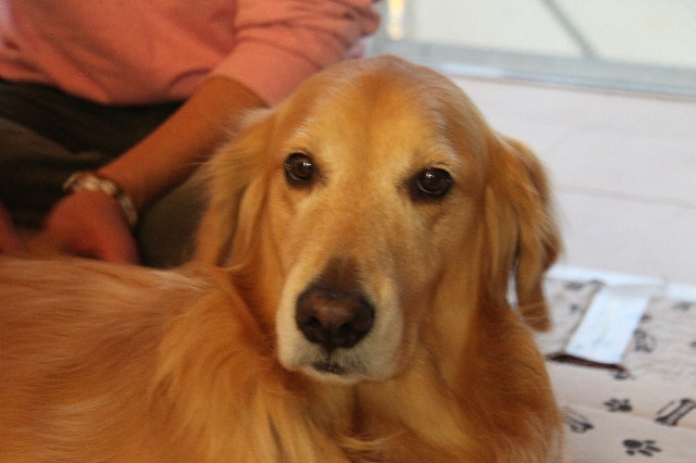 ファイル 2293-5.jpg