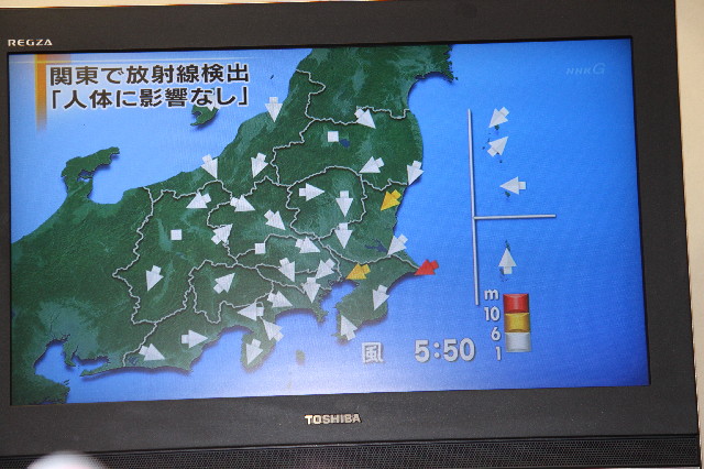 ファイル 2295-1.jpg