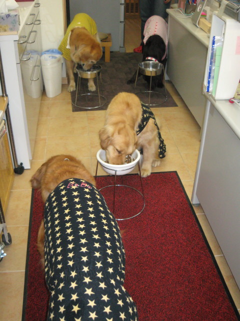 ファイル 230-1.jpg