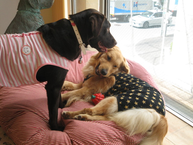 ファイル 230-2.jpg