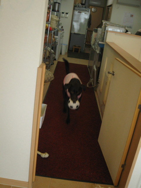 ファイル 230-3.jpg