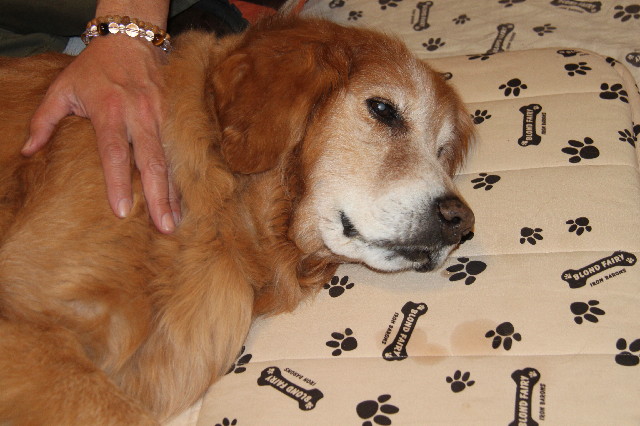 ファイル 2302-1.jpg