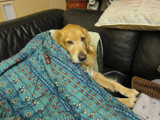 ファイル 2303-2.jpg