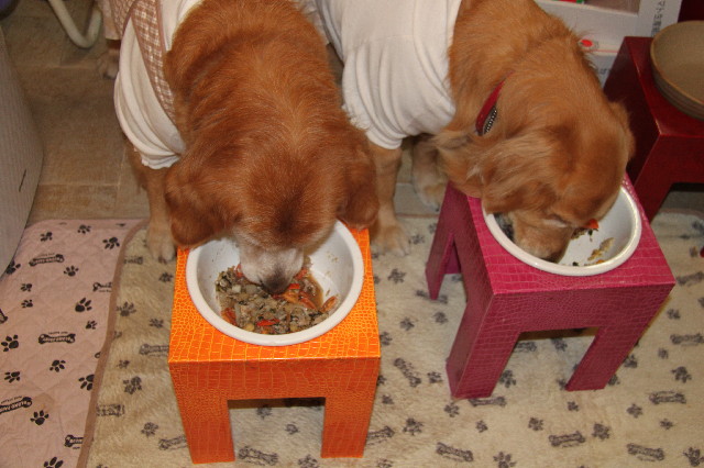 ファイル 2303-3.jpg