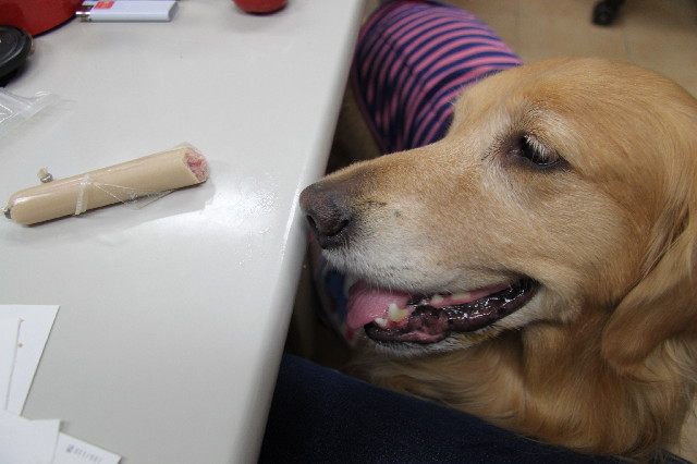 ファイル 2305-2.jpg