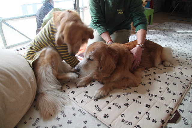 ファイル 2307-2.jpg