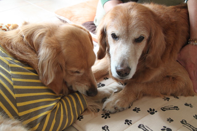 ファイル 2307-3.jpg