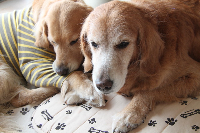 ファイル 2307-4.jpg