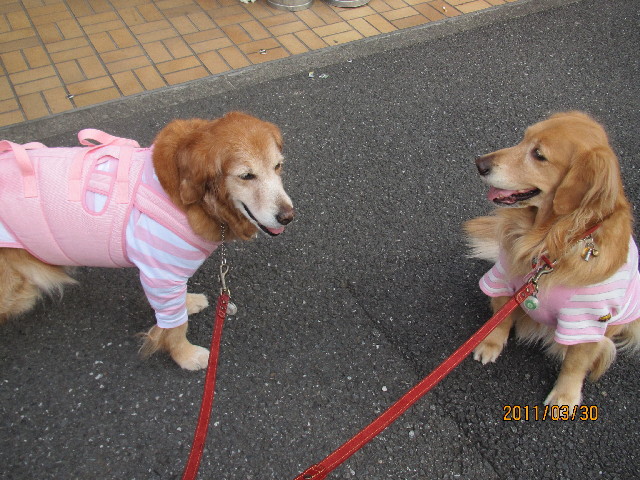 ファイル 2309-5.jpg