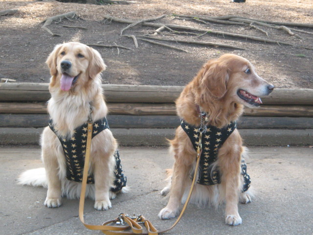 ファイル 231-4.jpg