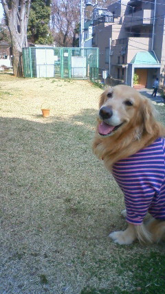 ファイル 2313-4.jpg