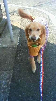 ファイル 2313-5.jpg