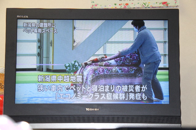 ファイル 2317-5.jpg