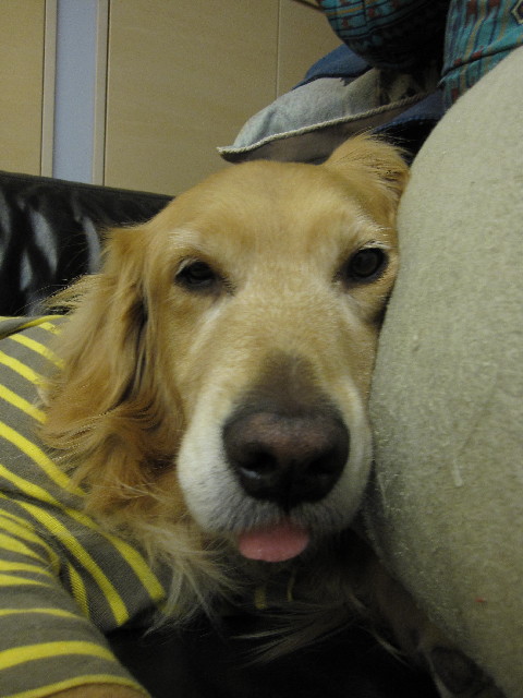 ファイル 2318-3.jpg