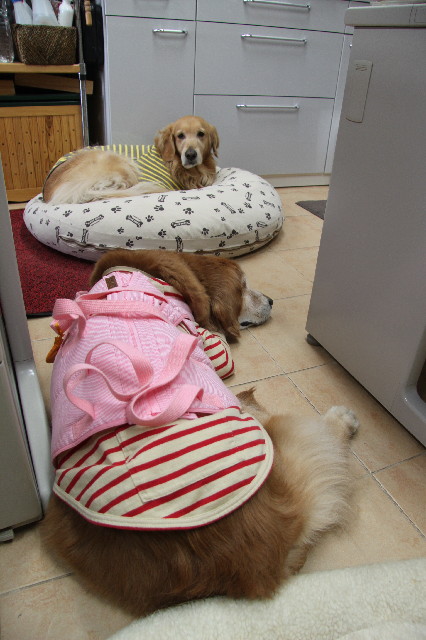 ファイル 2319-2.jpg