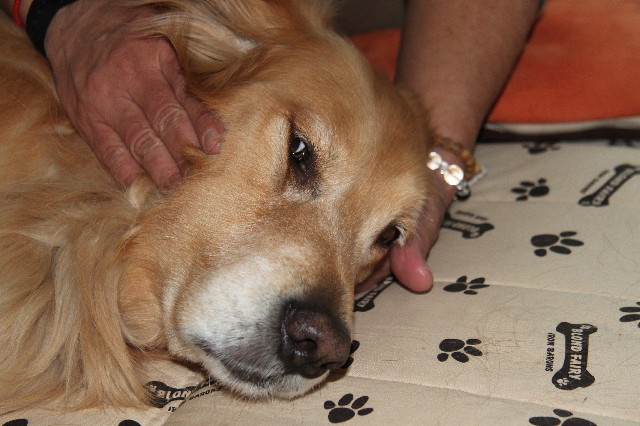 ファイル 2319-5.jpg