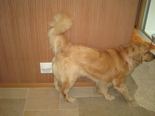 ファイル 232-1.jpg