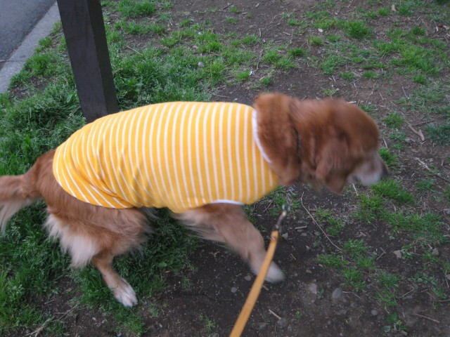 ファイル 232-5.jpg