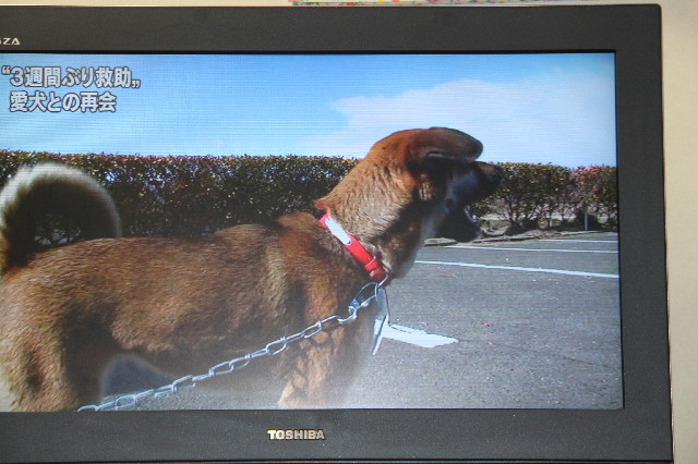 ファイル 2320-3.jpg