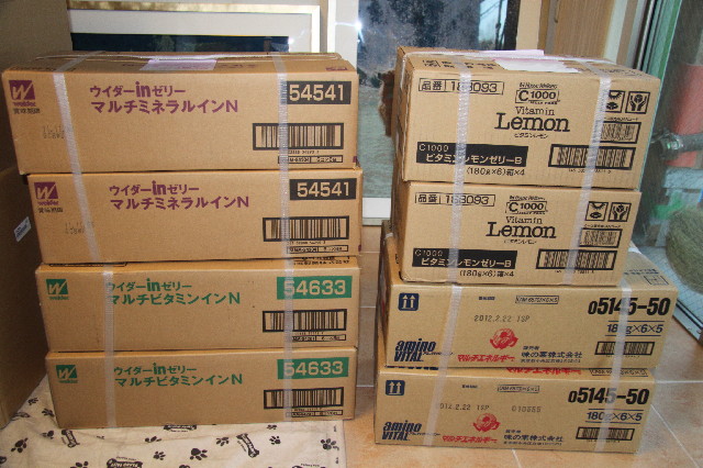 ファイル 2328-2.jpg