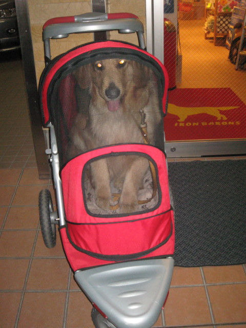 ファイル 233-1.jpg