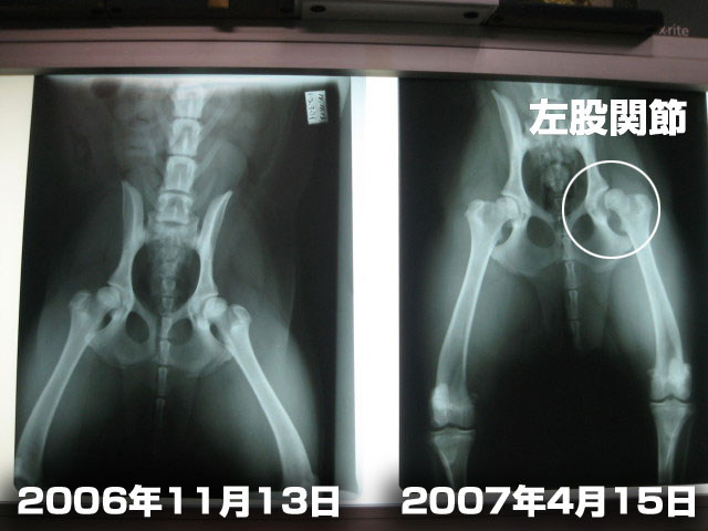 ファイル 233-3.jpg