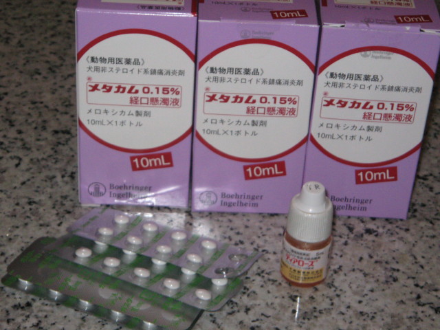 ファイル 233-5.jpg