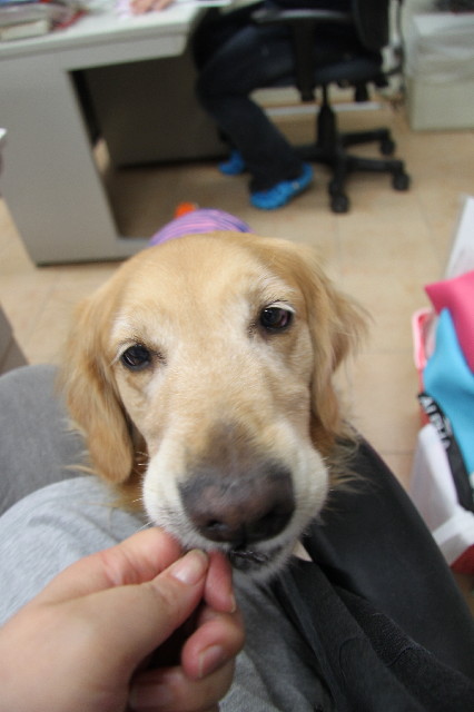 ファイル 2332-2.jpg