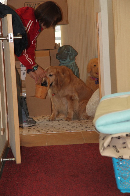 ファイル 2334-5.jpg